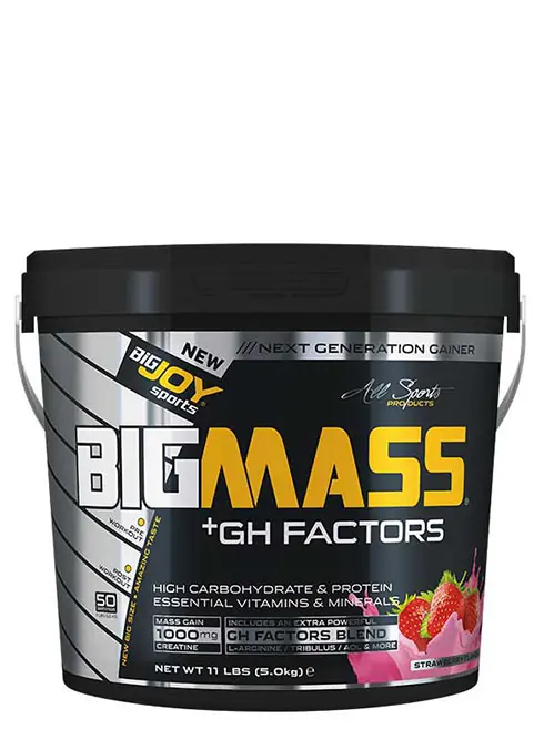 Bigjoy Sports BIGMASS Gainer GH FACTORS 161