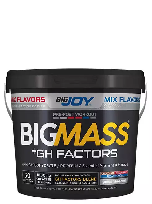 Bigjoy Sports BIGMASS Gainer GH FACTORS