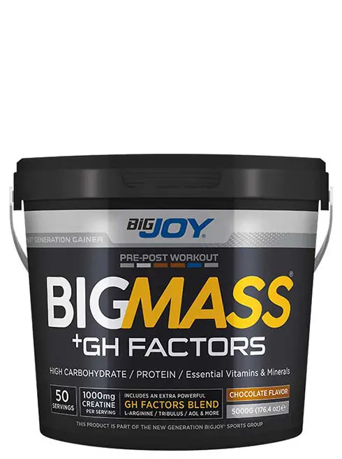 Bigjoy Sports BIGMASS Gainer GH FACTORS 160